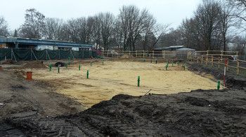 Foto mit Blick auf die Baustelle im Dezember, man sieht Rohre und Gullys aus dem Erdreich ragen